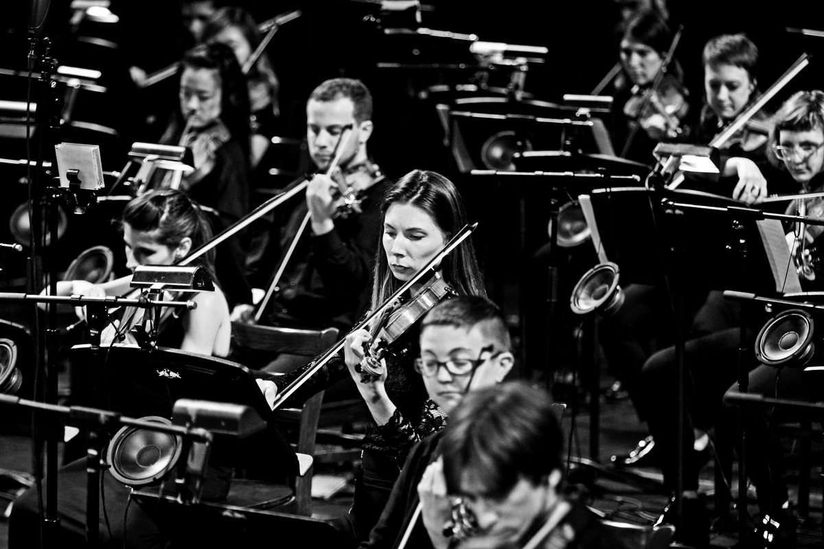 介绍法国的音乐有文采