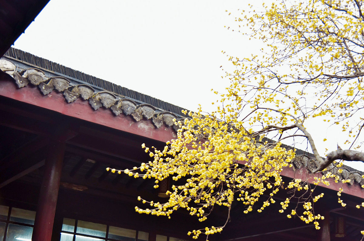 德宏师范高等专科学校五年制大专学前教育专业怎么样？好不好