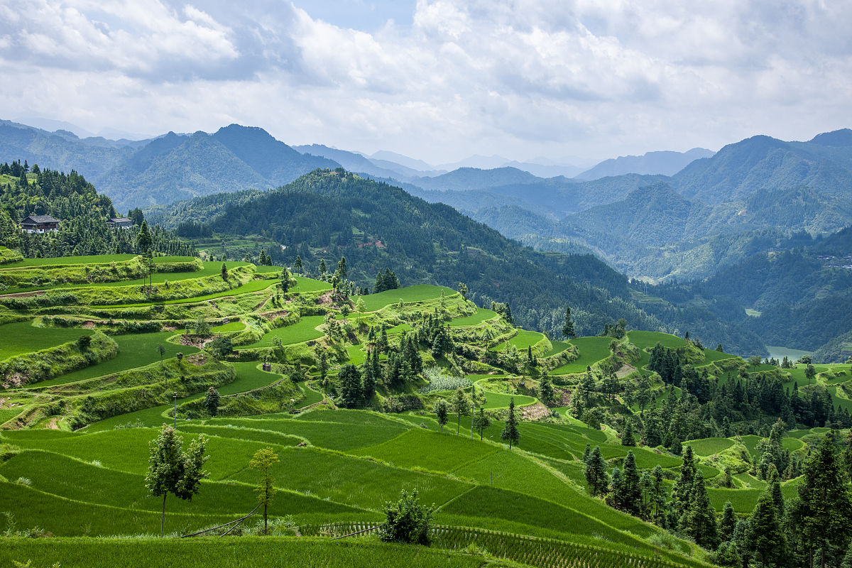 贵州2022年专科和职业学校区别：学历、招生、学科、就业