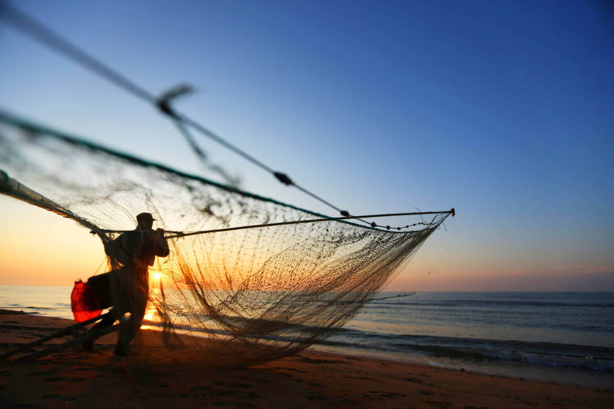 写一篇关于见到过最美丽的事物的作文