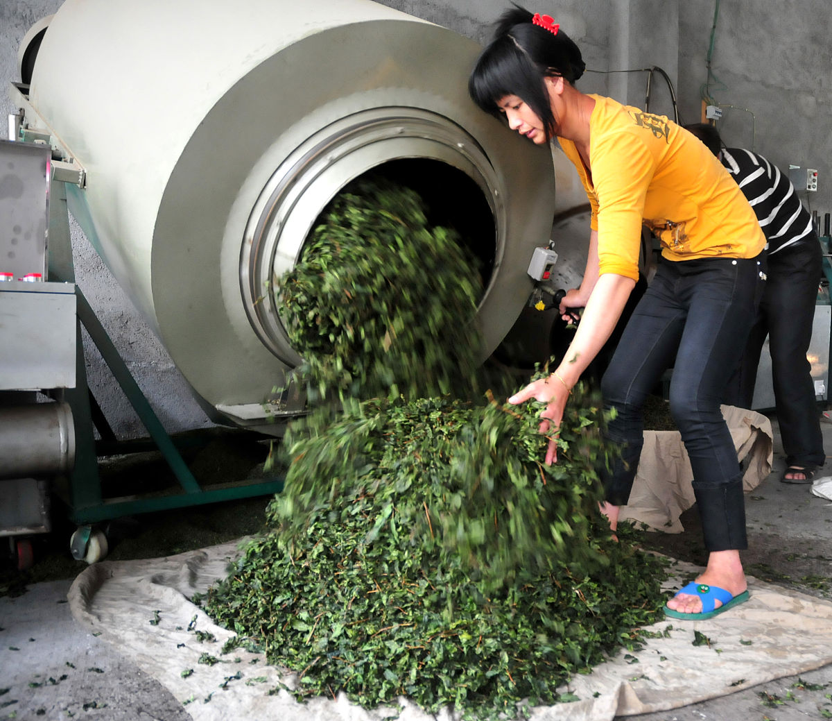 铁观音适合长期保存吗？