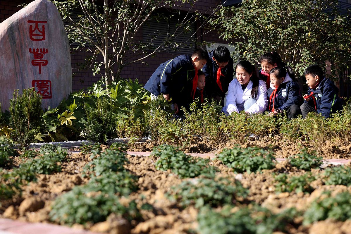 贵州中医药职业学校中草药栽培专业课程内容：学习中草药种植、药理、中医药学知识