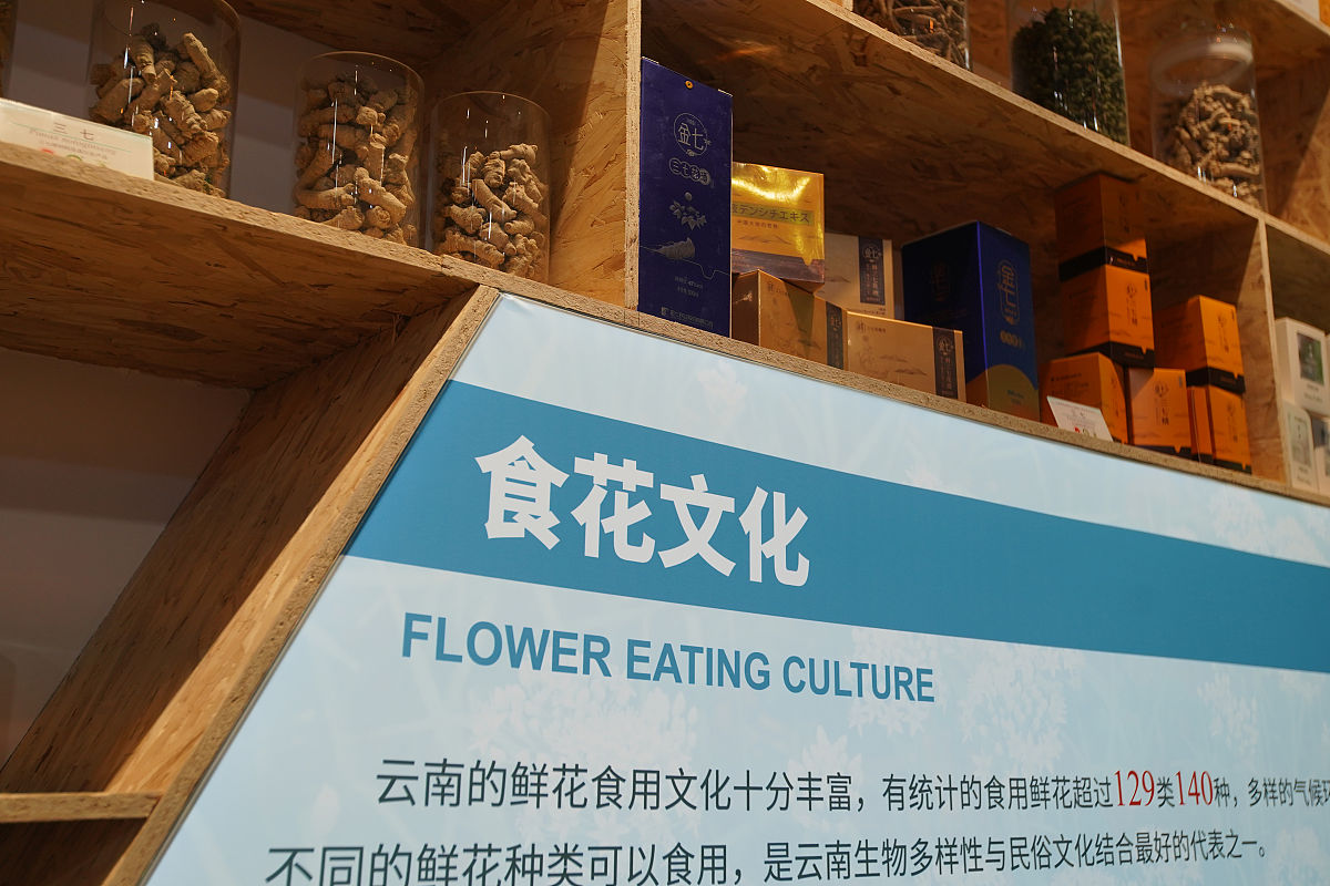 2021年10月14日,昆明,《生物多样性公约》第十五次缔约方大会(cop15)