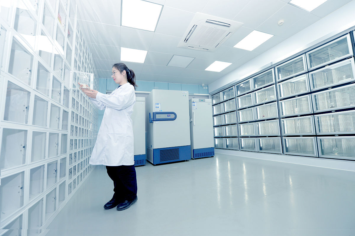 北京医院档案数字化服务 - 提升管理效率，降低运营成本