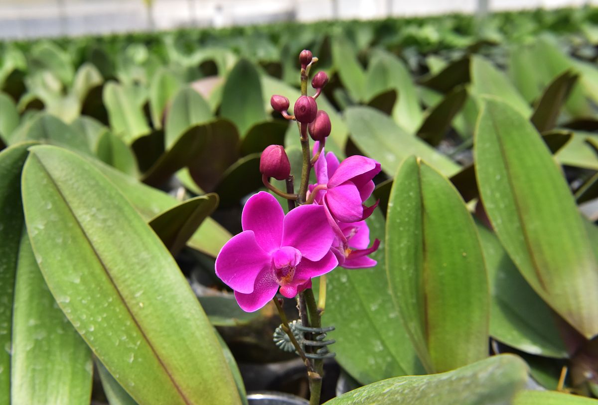 河源理工学校2022年招生简章 - 报考指南及专业介绍