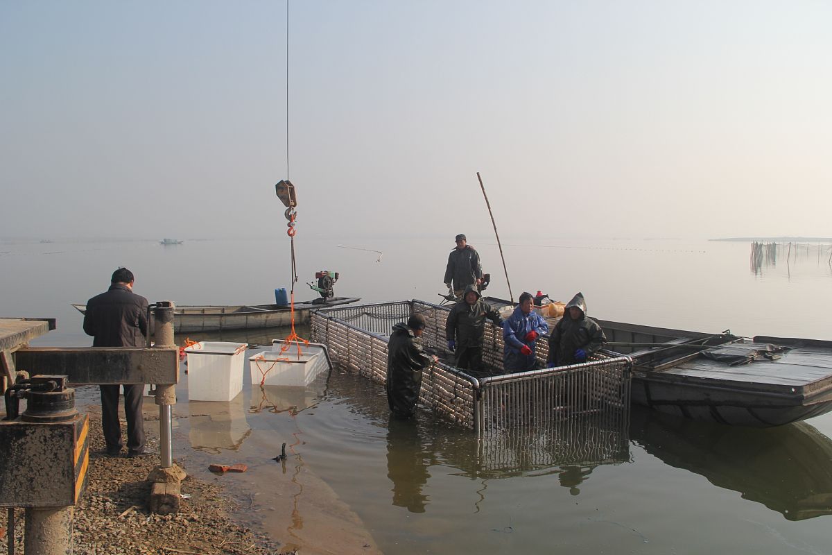 四川省水产学校2022年招生简章-培养优秀水产人才