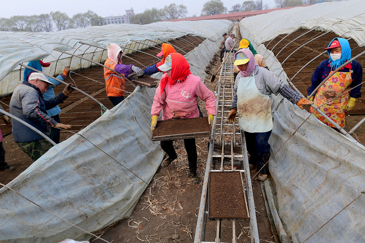 眉山机电职业技术学校农业机械专业：课程设置、就业前景和教学特色