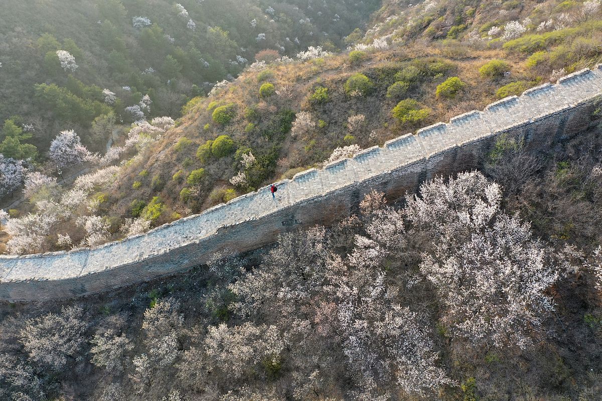 承德广播电视大学电子商务专业可以去哪就业？