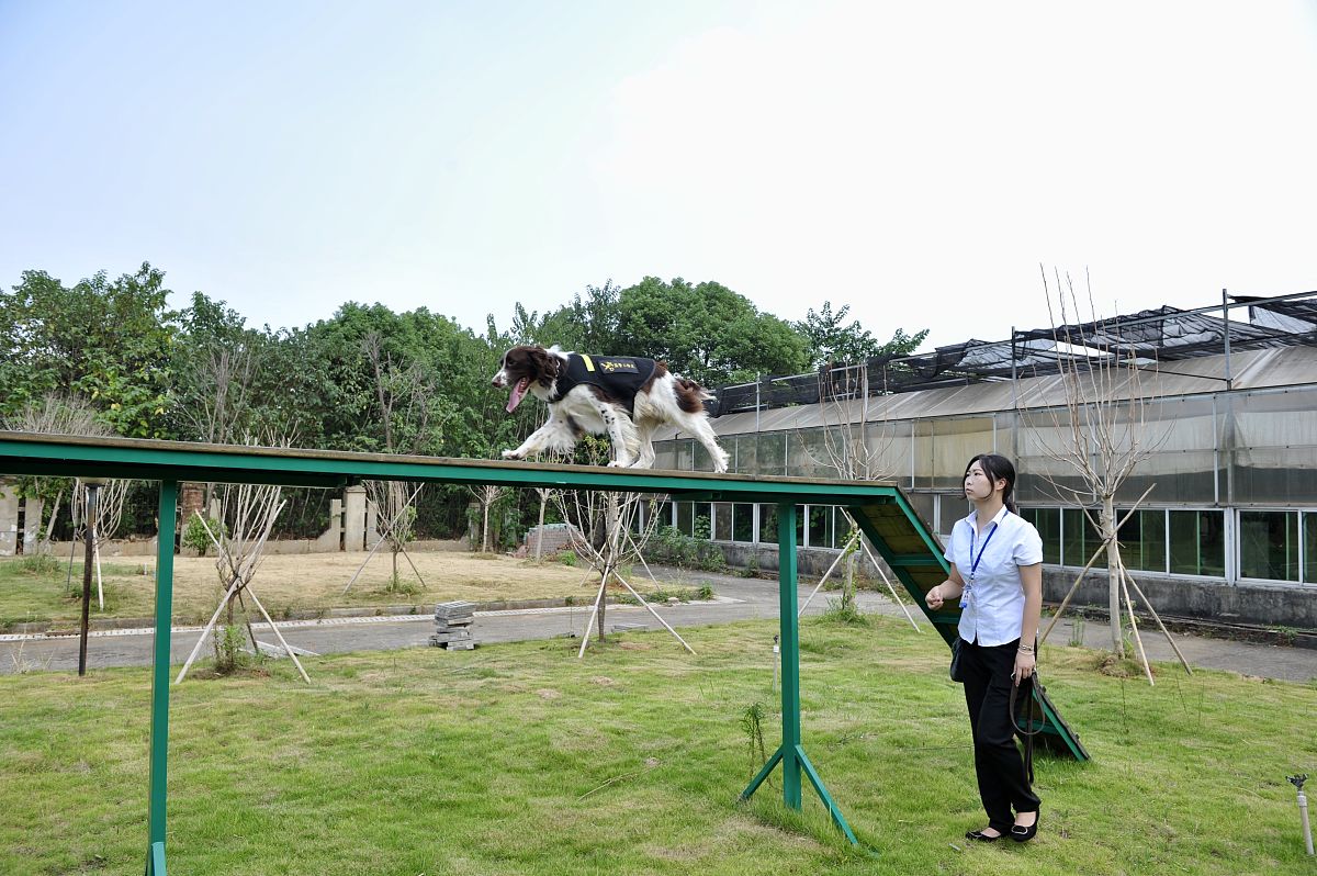 福建农业职业技术学院动物防疫与检疫专业就业方向及前景分析