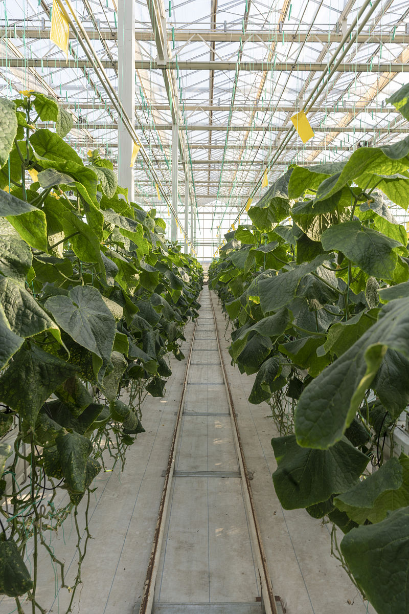 平凉农业学校2021年有哪些招生专业