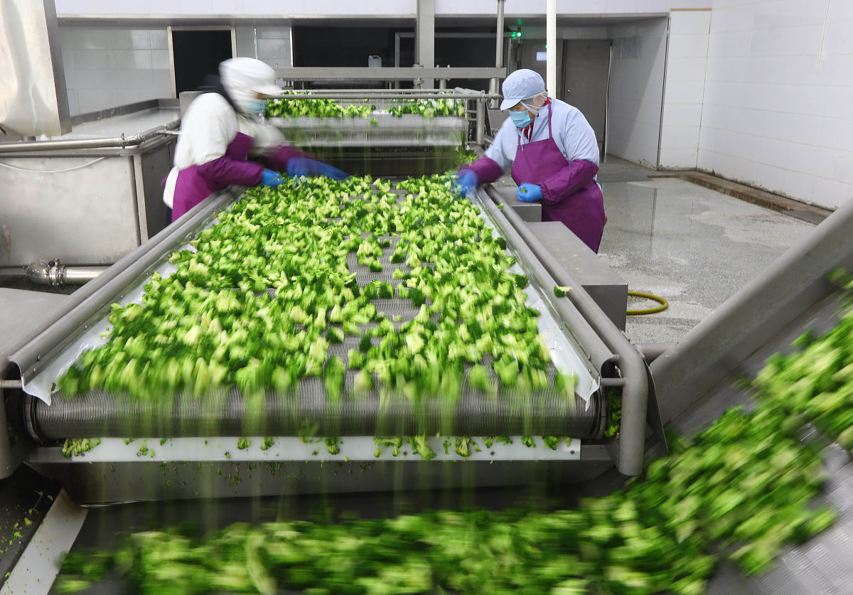 植物工厂设备厂商 | 行业领先品牌推荐