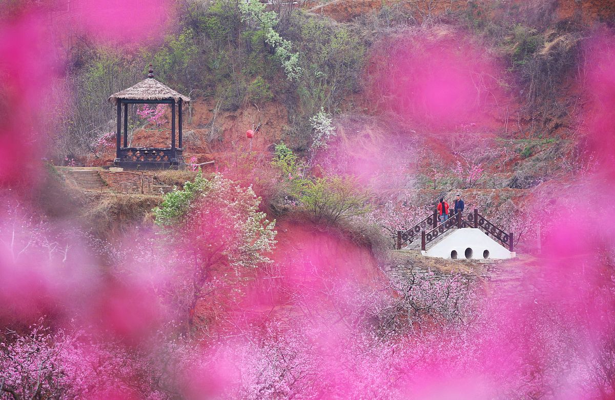 重庆城市职业学院旅游管理专业到底行不行设有哪些课程