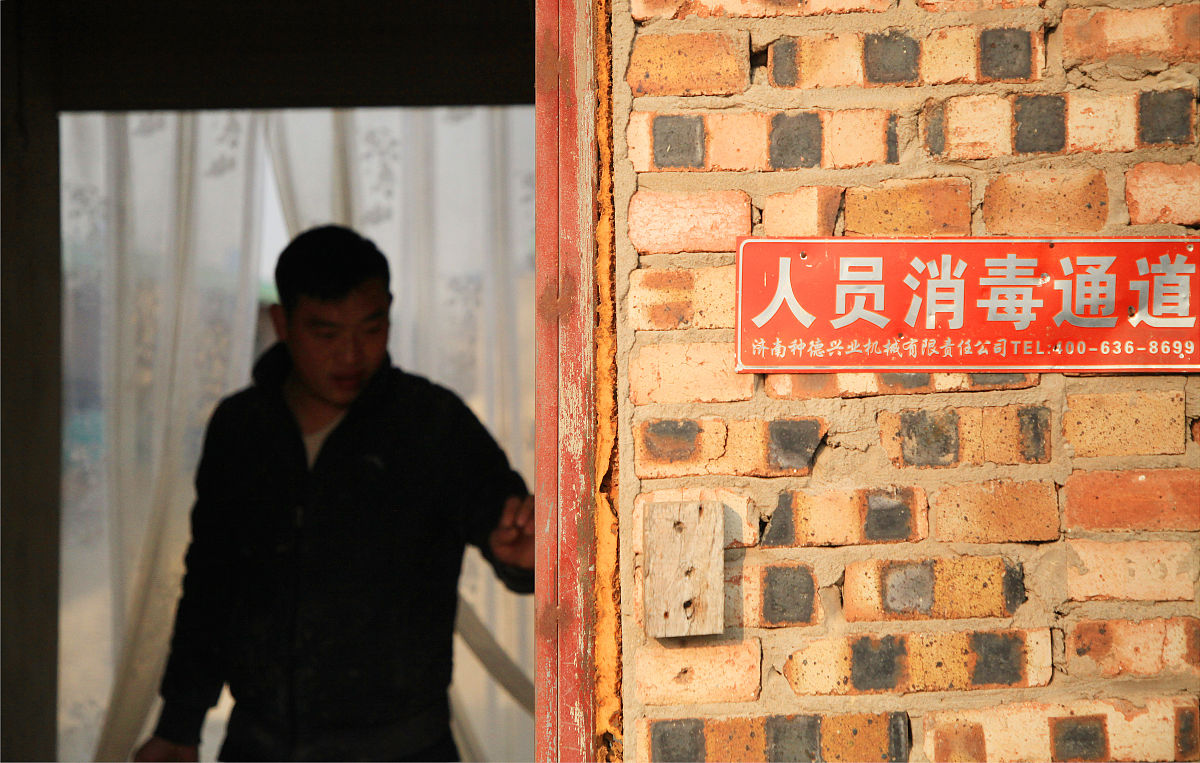 坚持的力量：一个关于努力和成功的短剧剧本