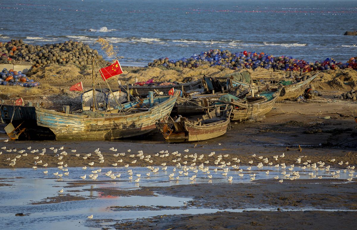 前湾新区新材料产业上下游分析：市场趋势、竞争格局与未来发展