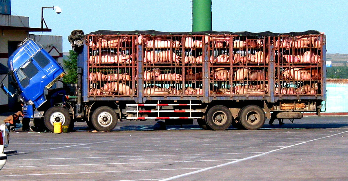 平板货车装货高度限制：4.2米超高吗？