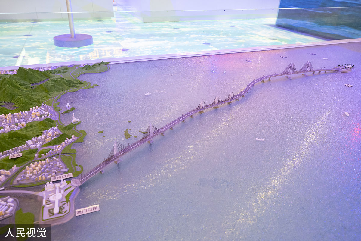 北海道和武庫川潮止堰鱼道实验：便捷的验证途径