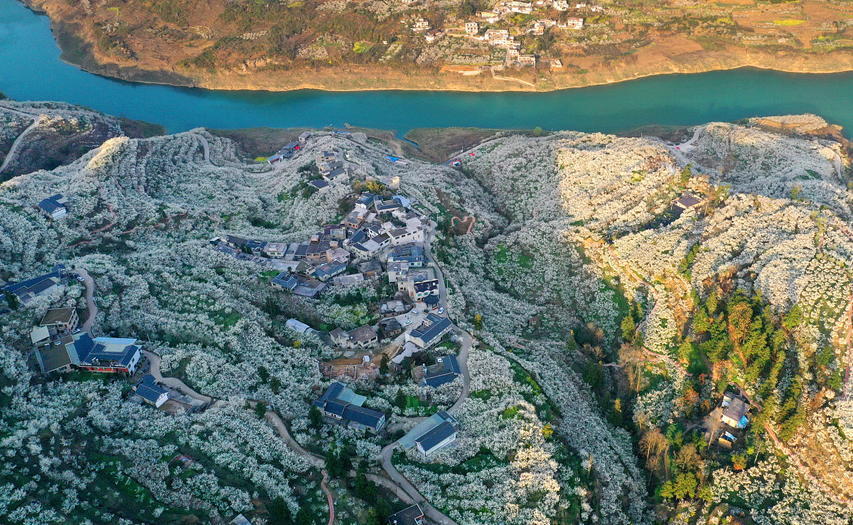 织金县中等职业学校2022年招生简章 - 报名指南