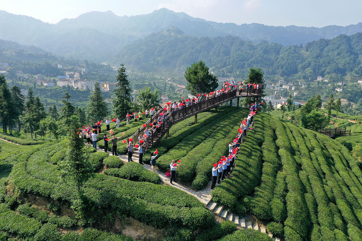 武夷山茶旅融合发展：提升旅游服务流程的五大关键