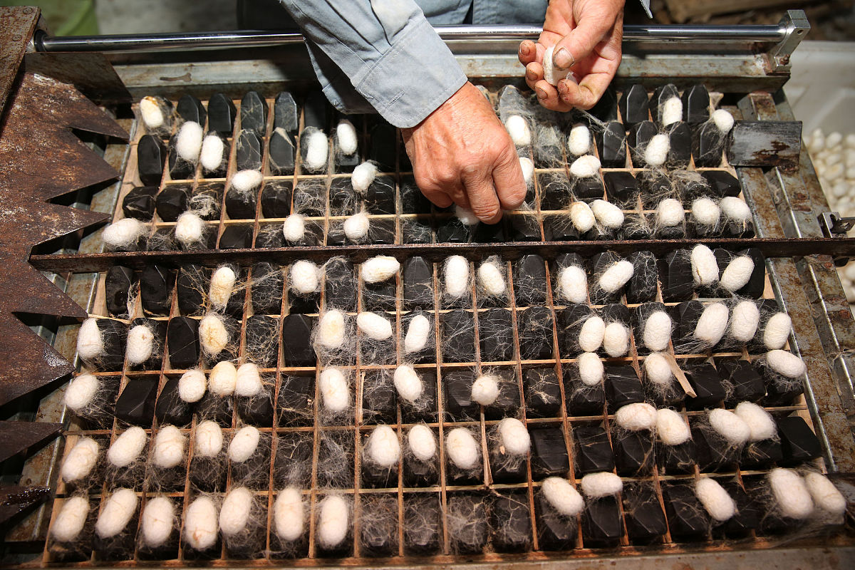 四川2022年中专学校热门专业推荐