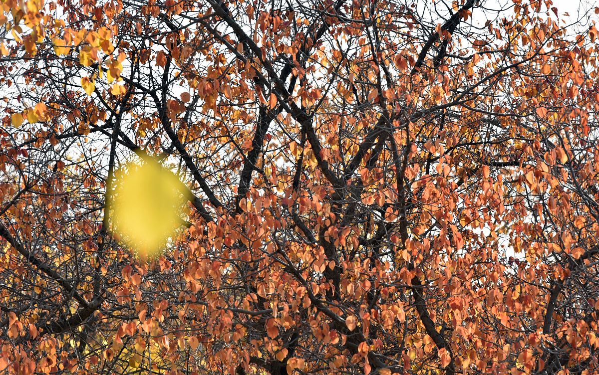 庆阳求助方式汇总：遇到困难如何寻求帮助？