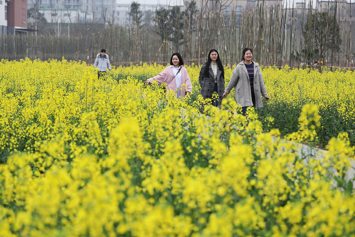 重庆房地产职业学院2019年招生简章