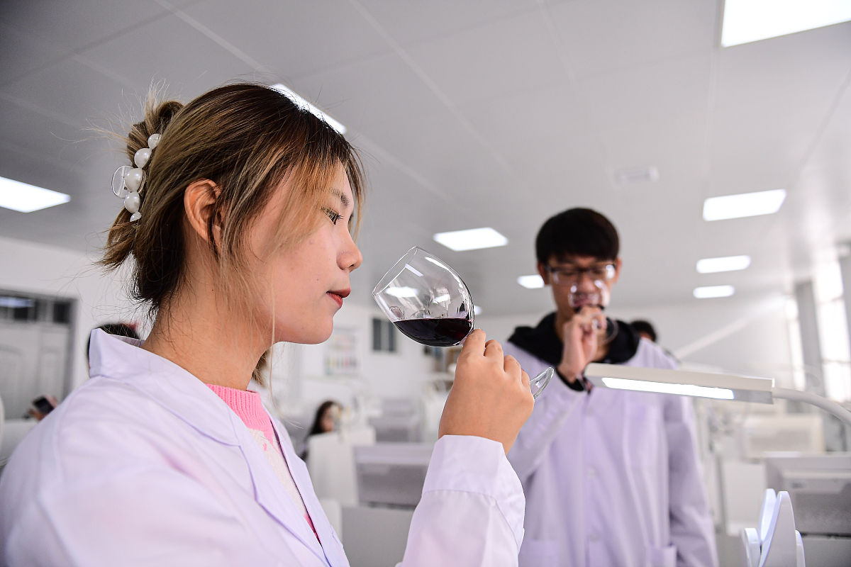 沈阳药科大学葡萄与葡萄酒工程专业：就业前景广阔，相关方向值得探讨