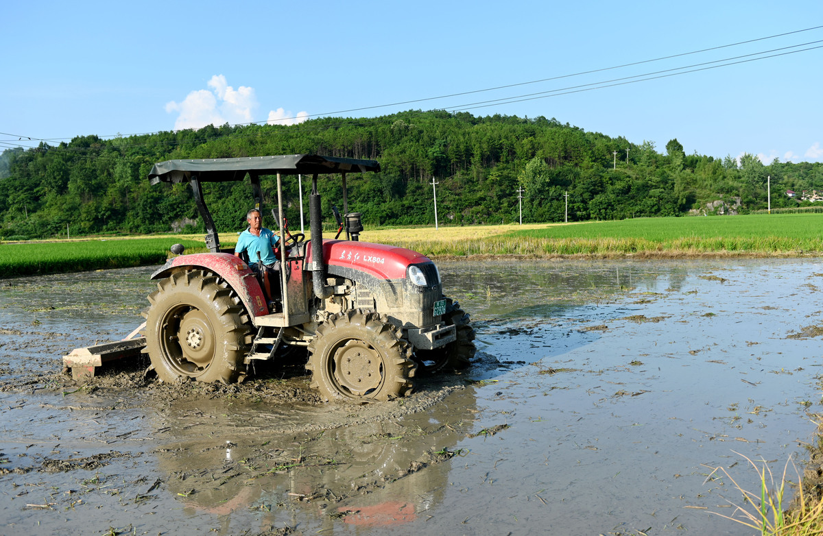 湖北3+2农机使用与维修专业的学校有哪些？