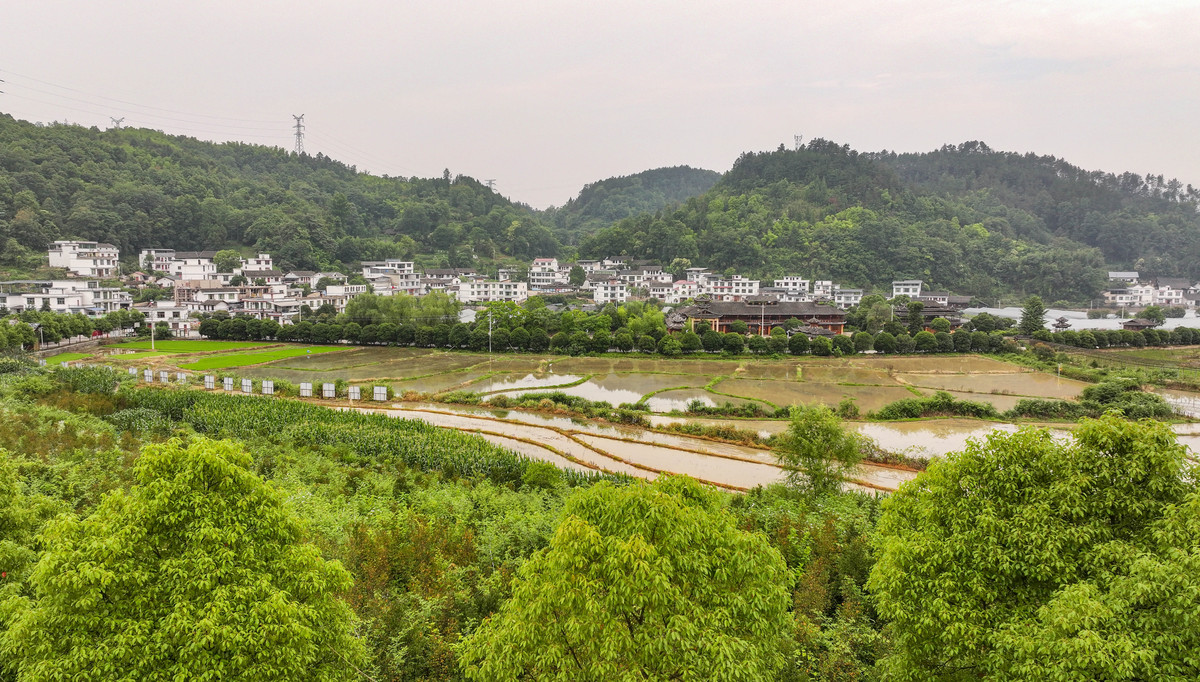 农村人居环境整治