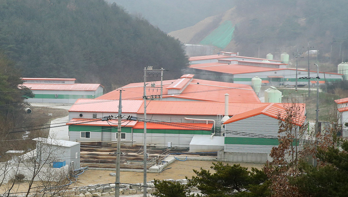 口蹄疫是可控可防的吗