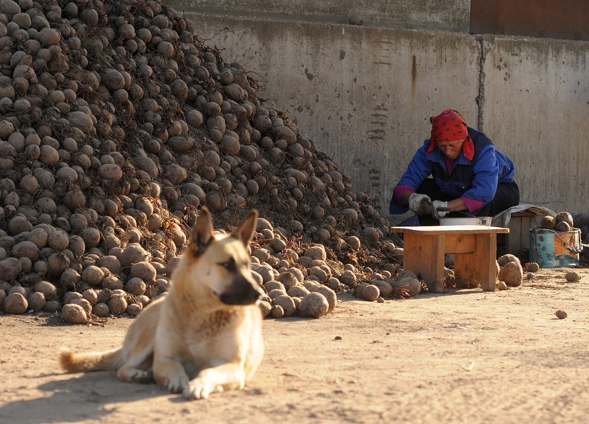 乐山市金盾职业学校设施农业与装备专业怎么样？好不好