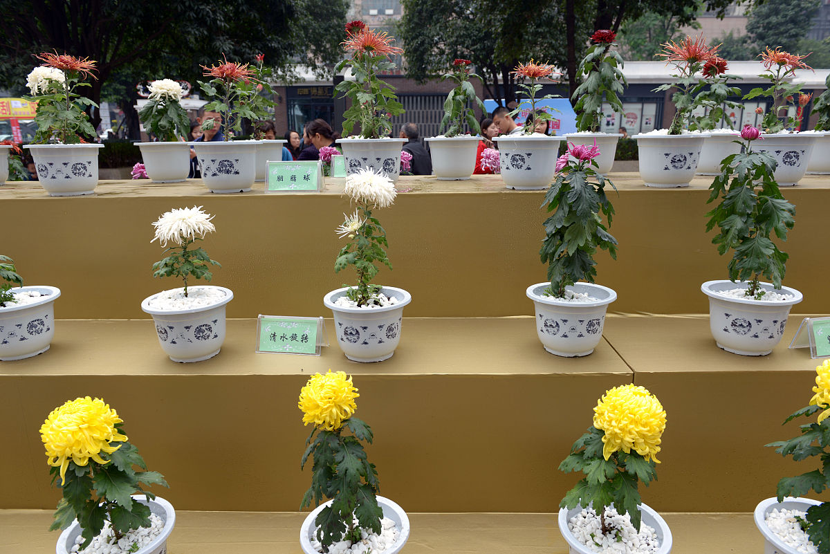 温州科技职业学院商品花卉专业怎么样