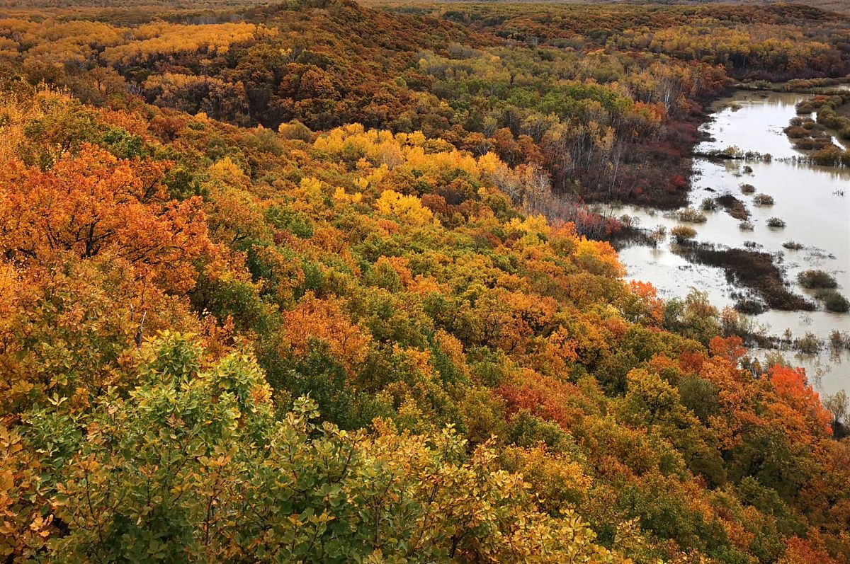 黑龙江农垦科技职业学院助产专业专业可以选择哪些就业方向