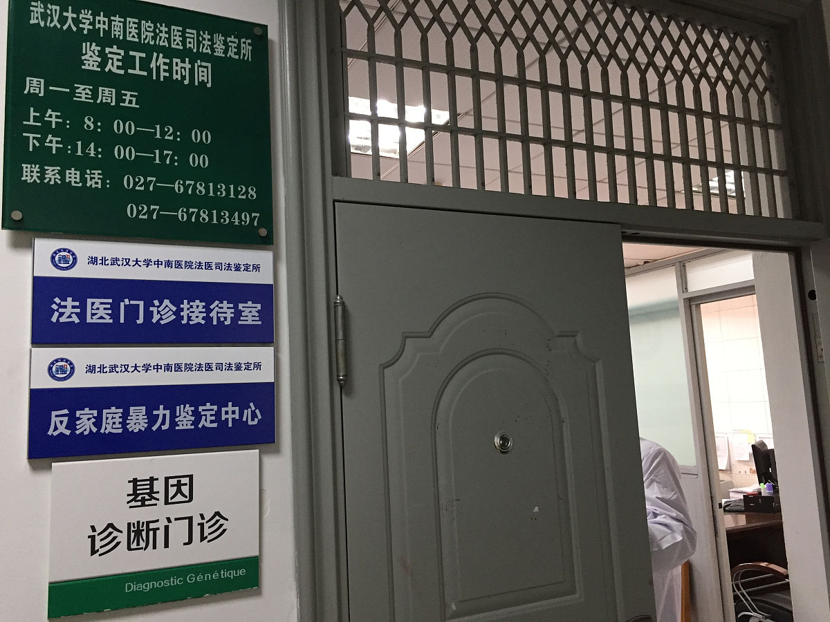 2018年2月2日,武汉大学中南医院法医司法鉴定所亲子鉴定中心,家庭暴力