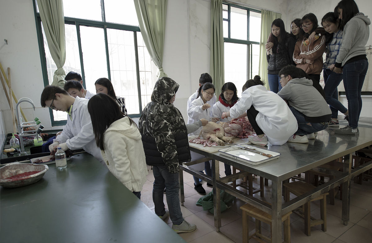 西秀区高级职业技术中学畜牧兽医专业怎么样?教学质量好吗? 西秀区高级职业技术中学畜牧兽医专业怎么样?教学质量好吗?