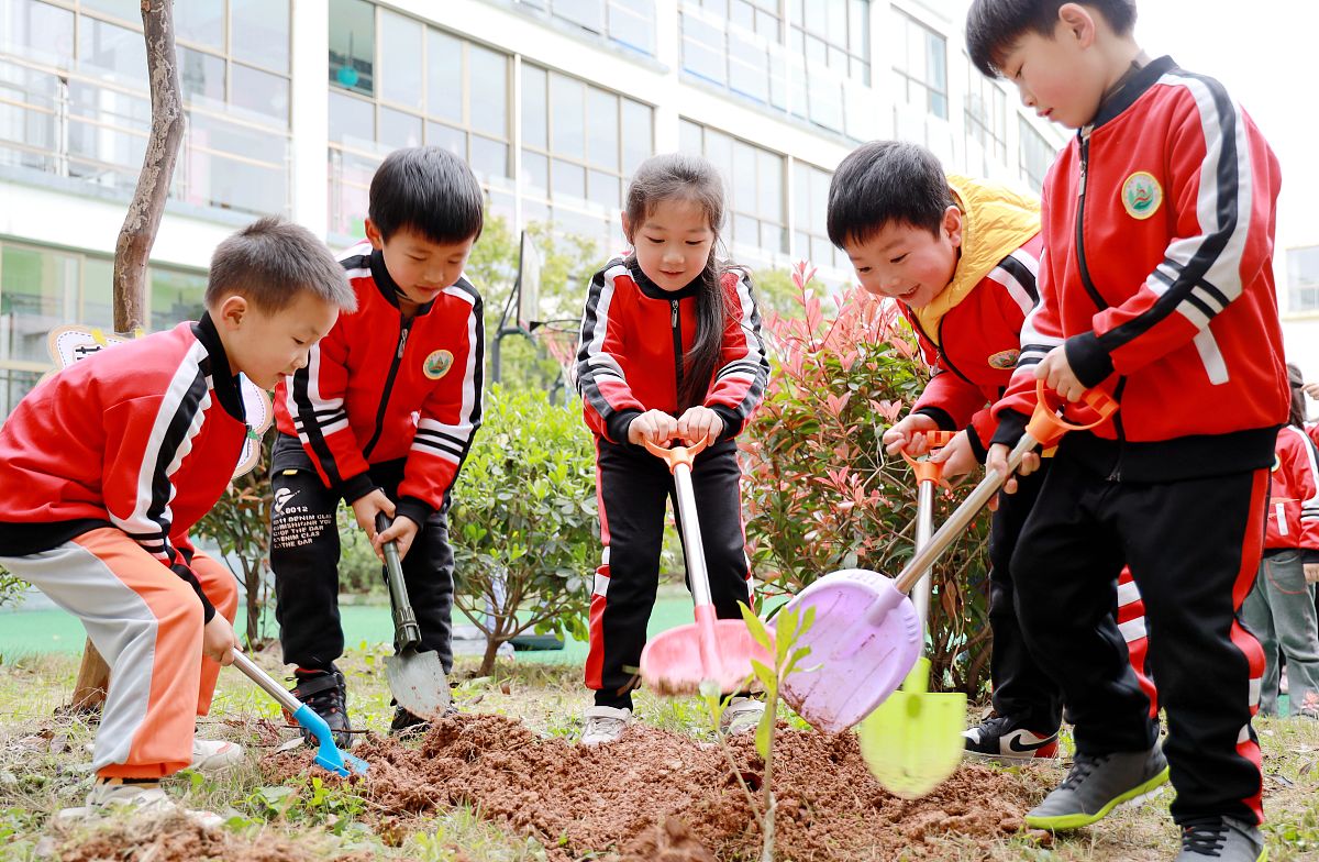 请围绕劳动教育特征展开创作