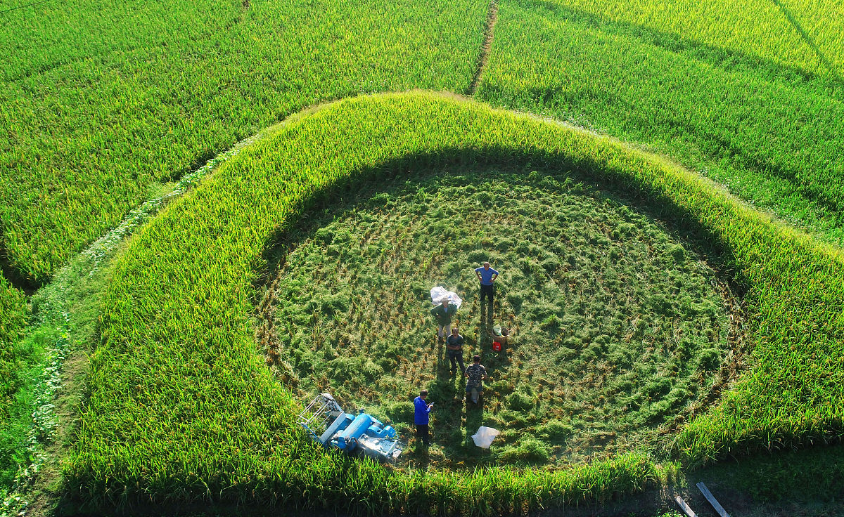 石鼓镇属于哪个市？茂名化州石鼓镇位置介绍