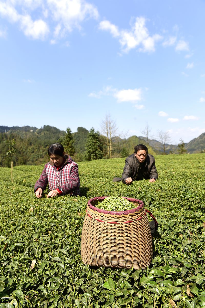 2022年沿河土家族自治中等职业学校招生简章 - 报名指南