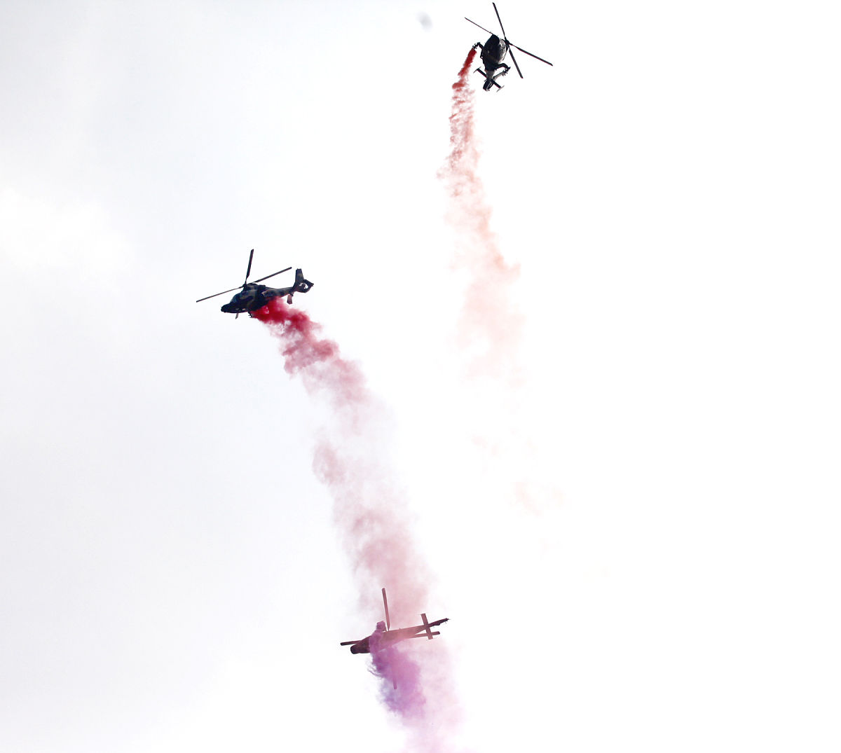 香港本科直博宣传标语