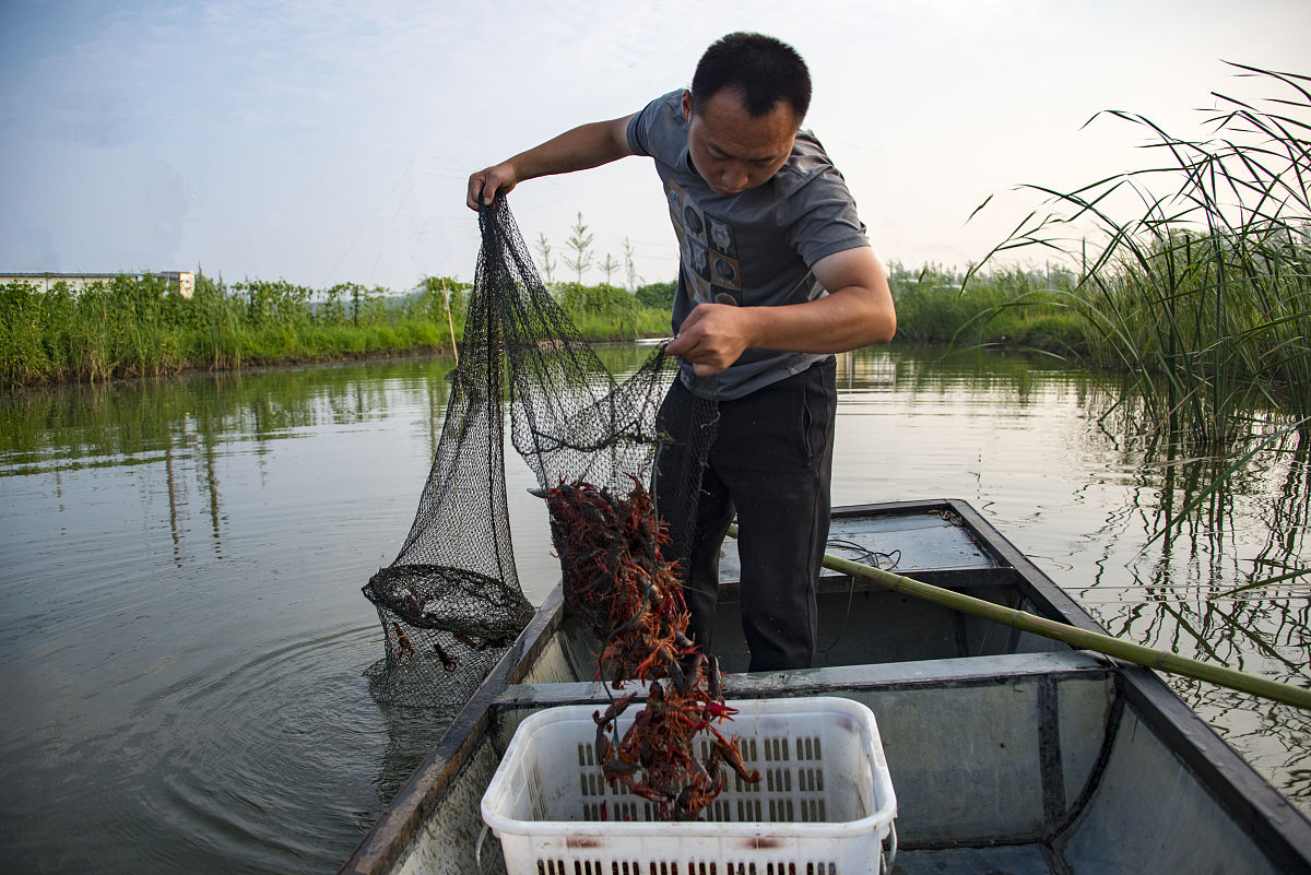 如果我想钓龙虾我该怎么去寻找有龙虾的地点？