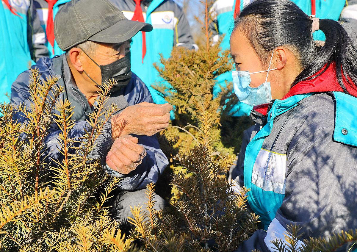 劳动教育的意义、实践与优化：培养学生综合素质的关键