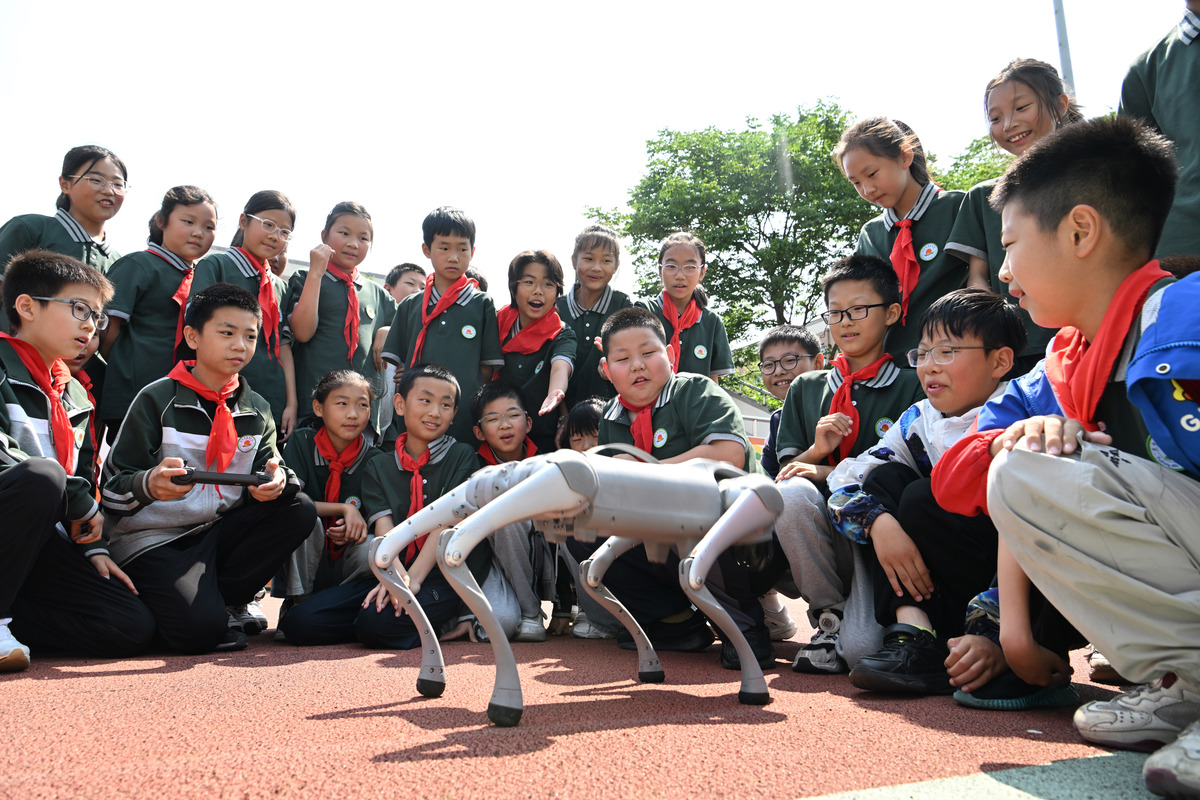 丰富多彩的班级活动：学习、体育、文艺、社会实践全方位提升