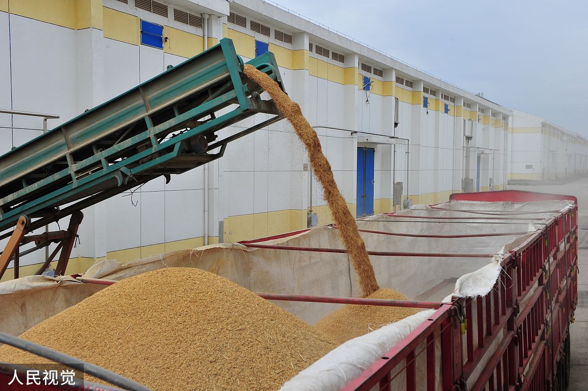 胶州市粮食储备库：保障当地粮食供应的重要设施