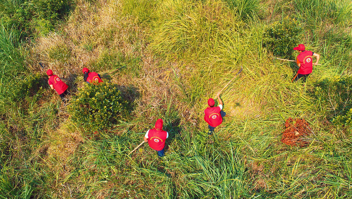 福建林业职业技术学院会计信息管理专业涉及哪些课程