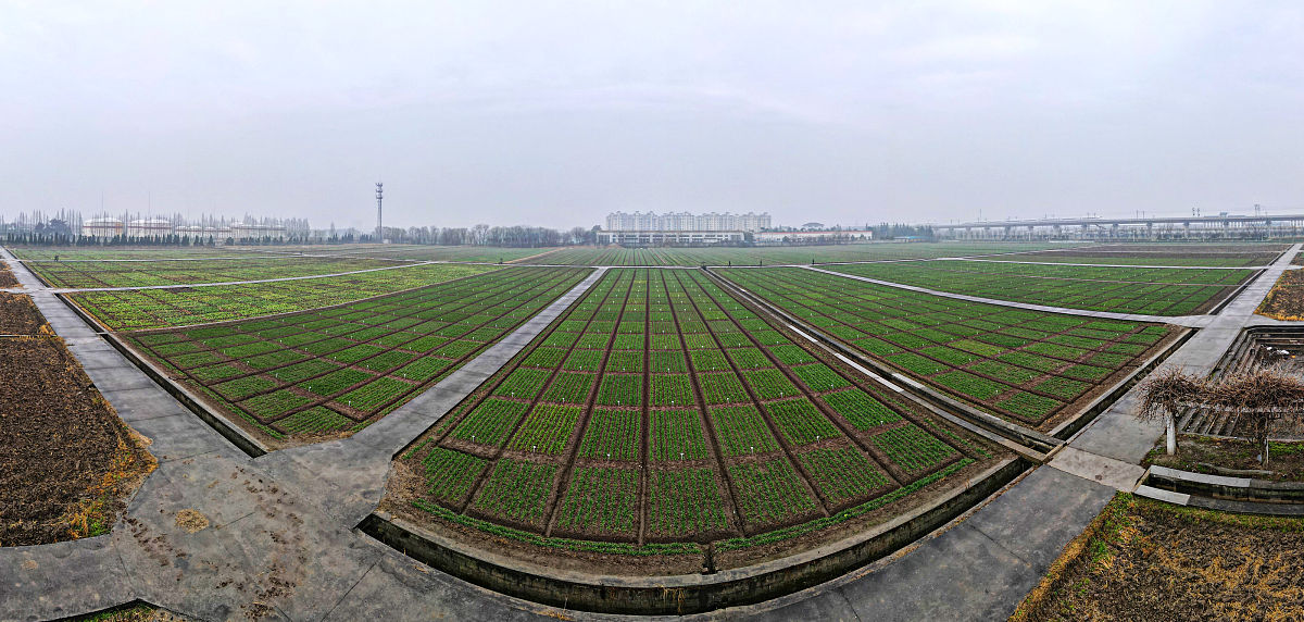 临洮农业学校2021年新增专业：现代农业技术、农产品质量与安全等