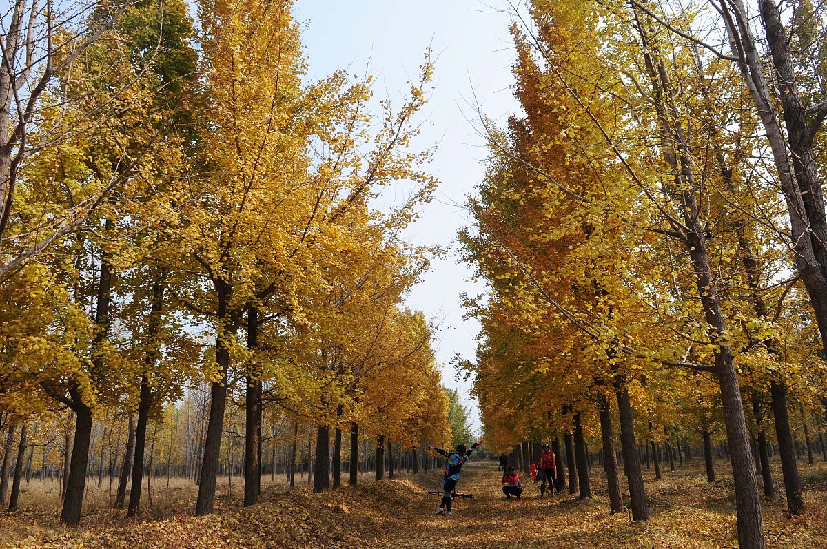 临清媒体曝光求助热线：您的正义之声，我们倾听！