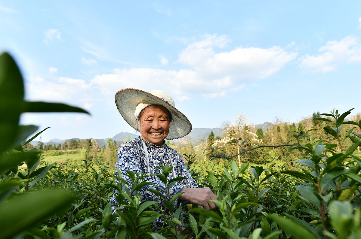 贵州省建设学校男生适合读哪些专业？-2023专业选择指南