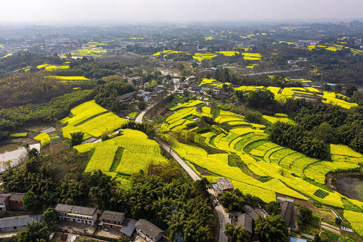 自贡卫校是本科还是专科用发散