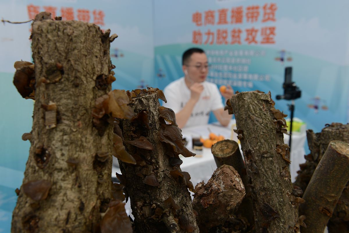 广西南宁明星直播带货翻车！20万费用仅卖出278元，商贸公司起诉索赔