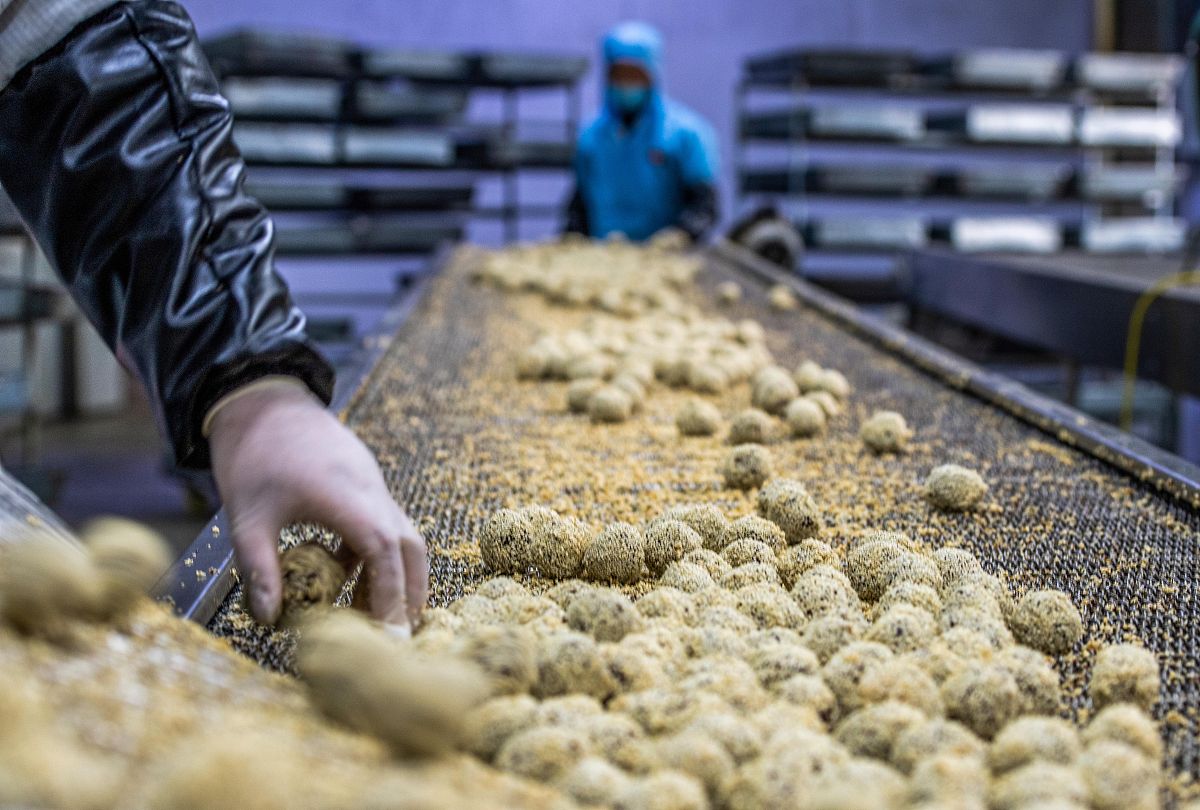 白术烘制技巧：如何将实心白术制作成峰窝状干白术