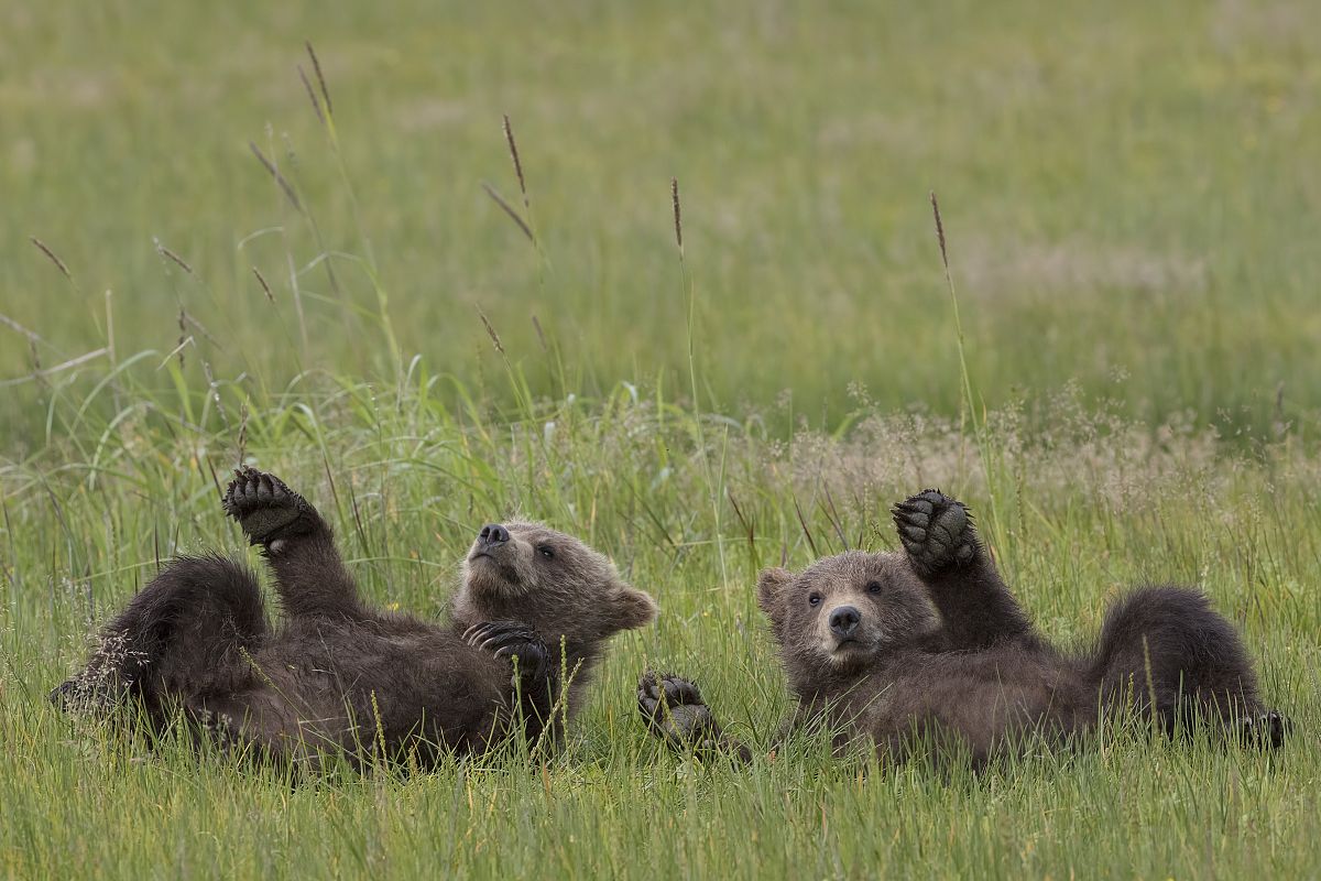 拒绝跳舞的幽默方法，化解尴尬气氛